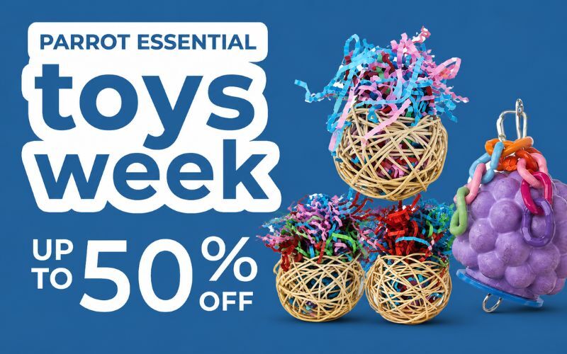up to 50% off parrot toys at parrotessentials.co.uk