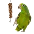Yellow Naped Amazon Treats from Parrot Essentials