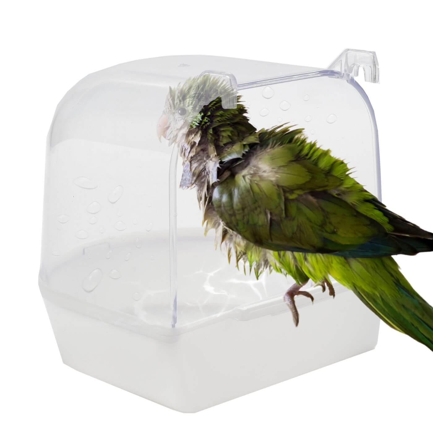 Natural Living Outside Parrot Bath for Quakers