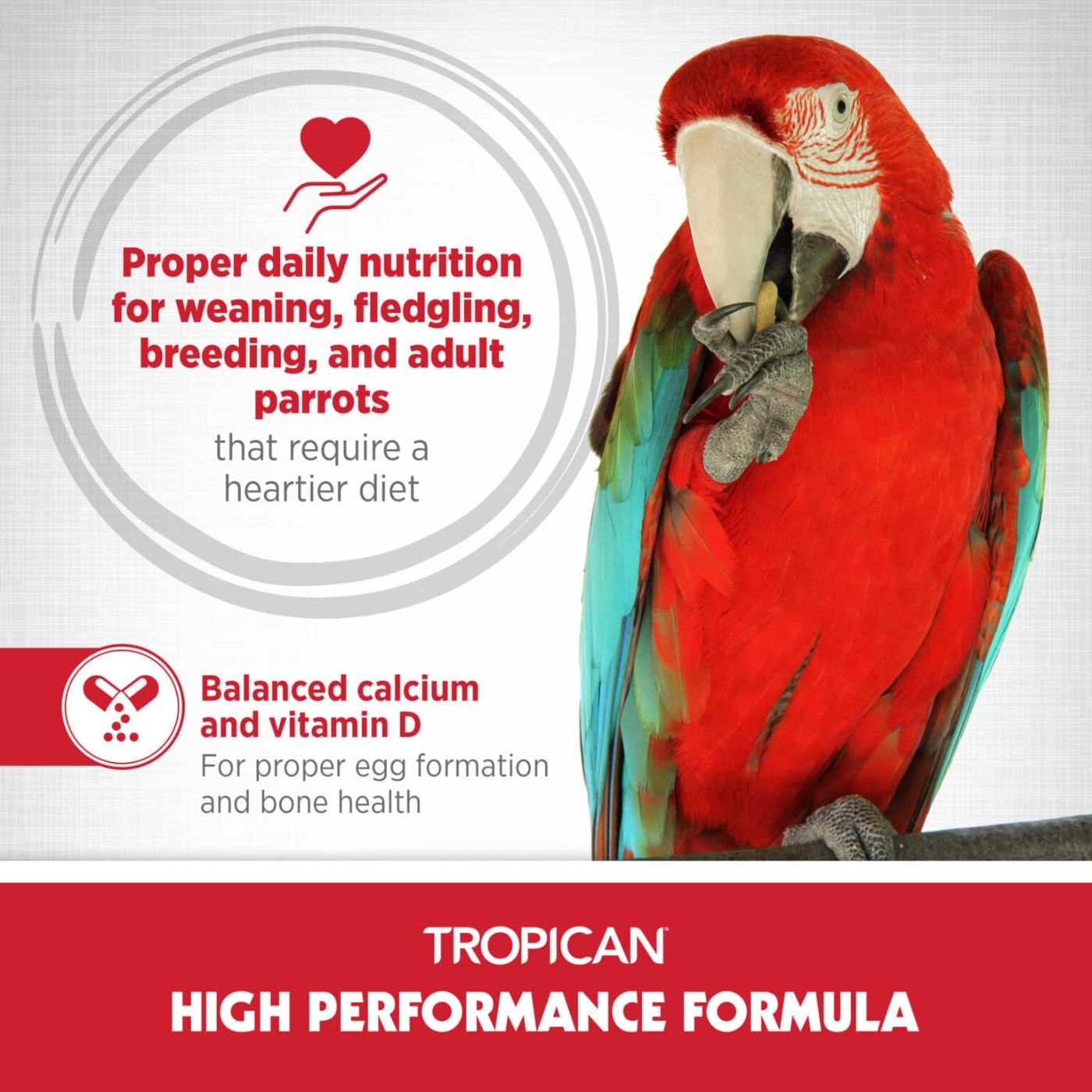 Tropican High Performance Biscuits Food