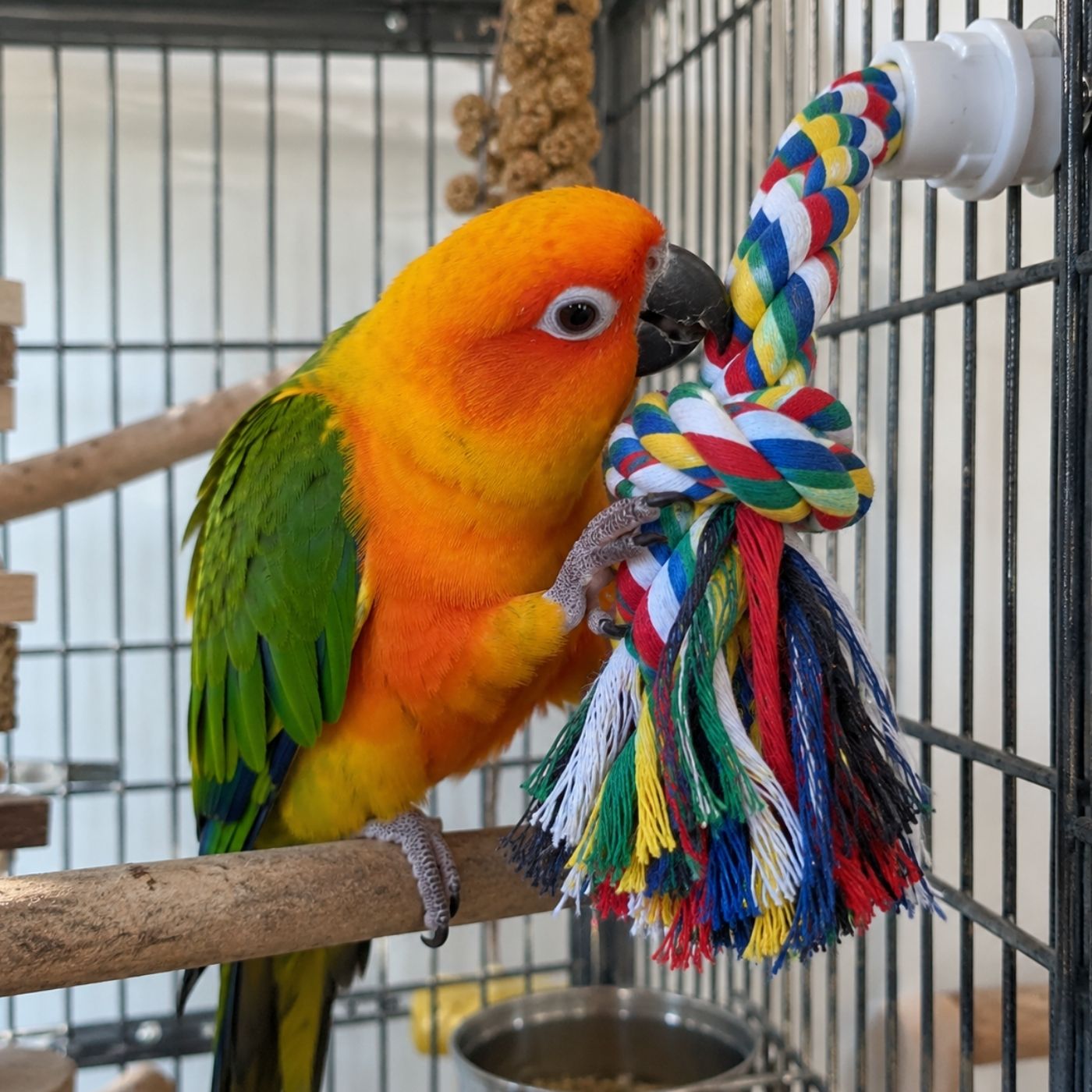 Large Cotton Rope Parrot Preening Toy