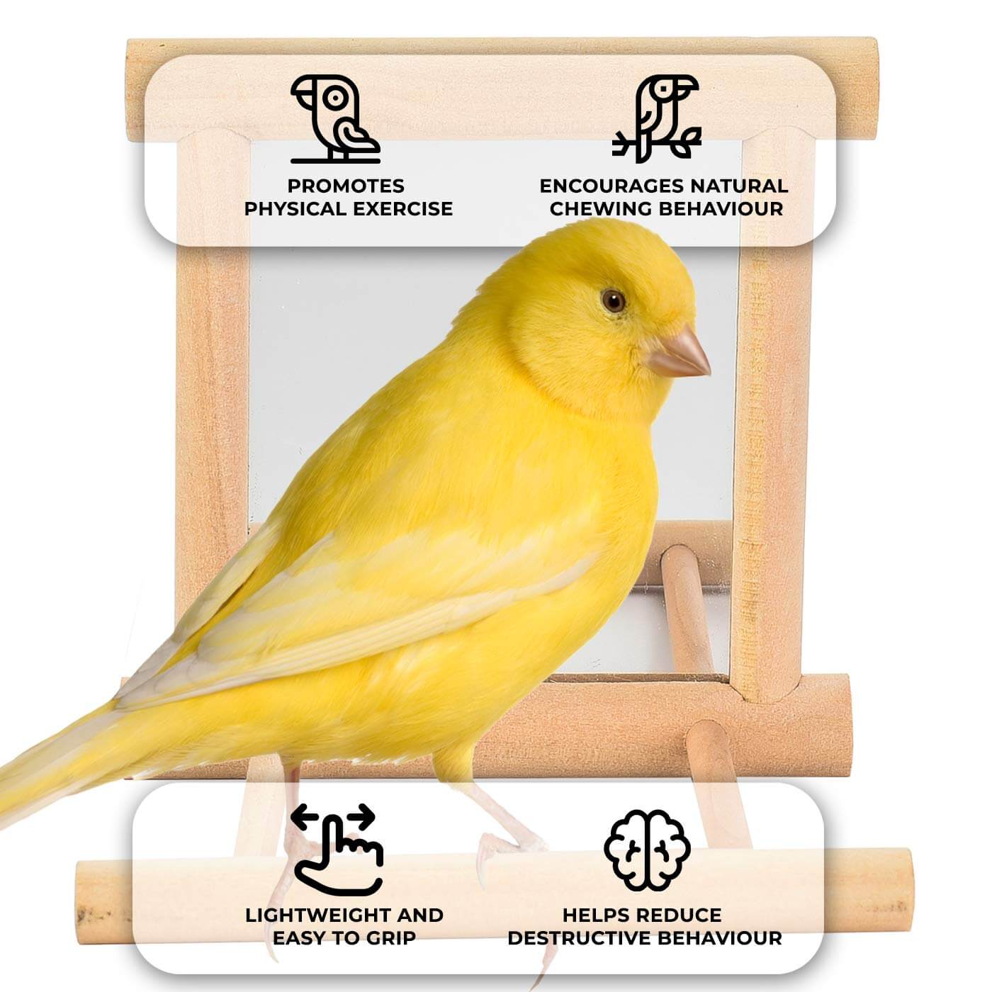 Bird Cage Mirror with Perch for Small Parrots & Pet Birds