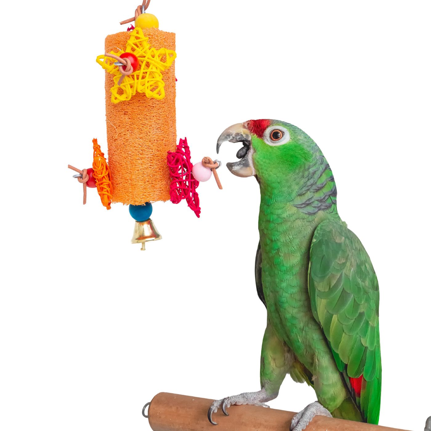 Beak Bliss Natural Loofah Parrot Toy for Healthy Beak Wear
