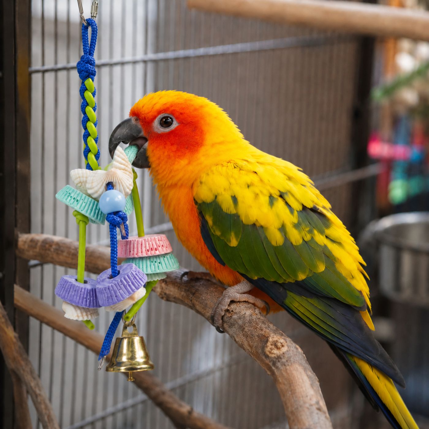 Enrichment Chewable Calcium Parrot Toy