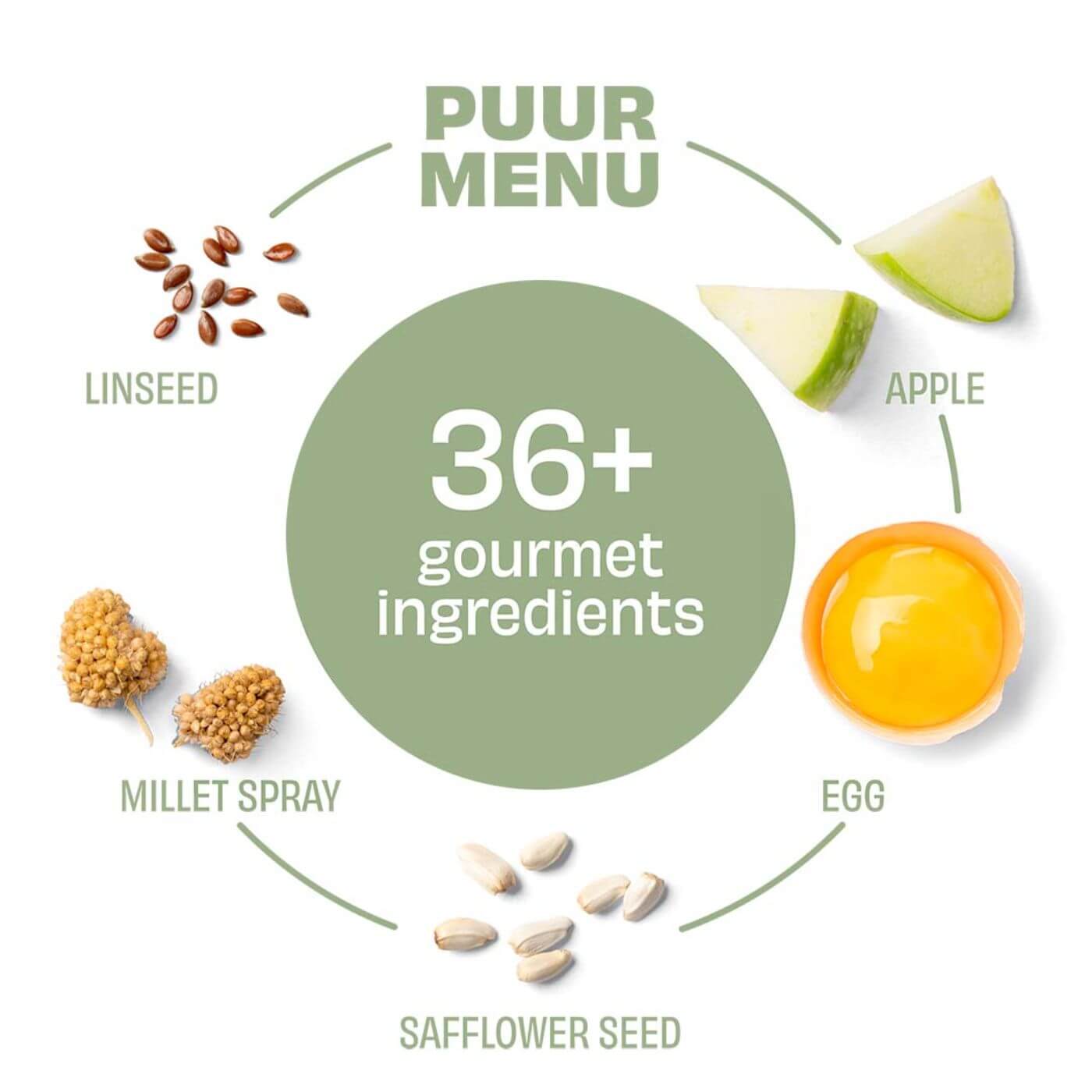 Budgerigar Seed Mix – PUUR 750g