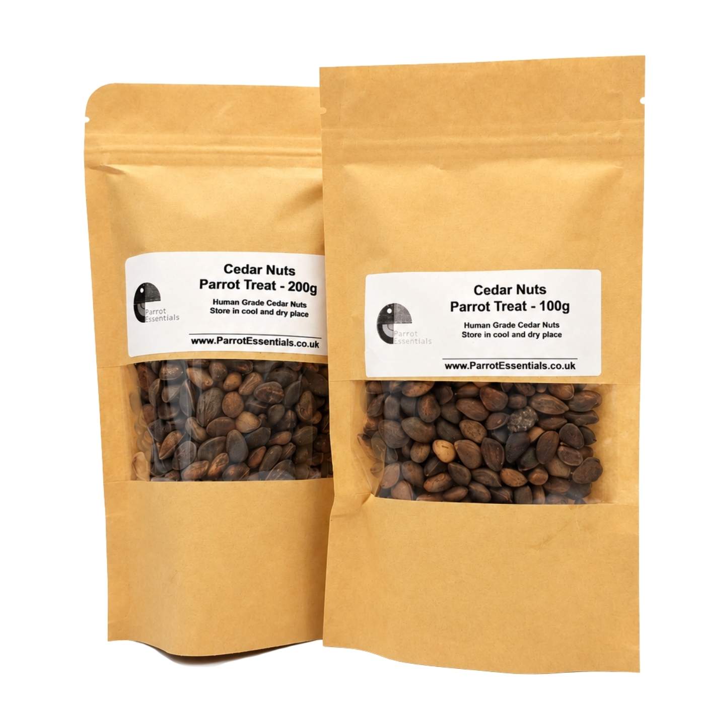 Cedar Nuts Natural Parrot Treat