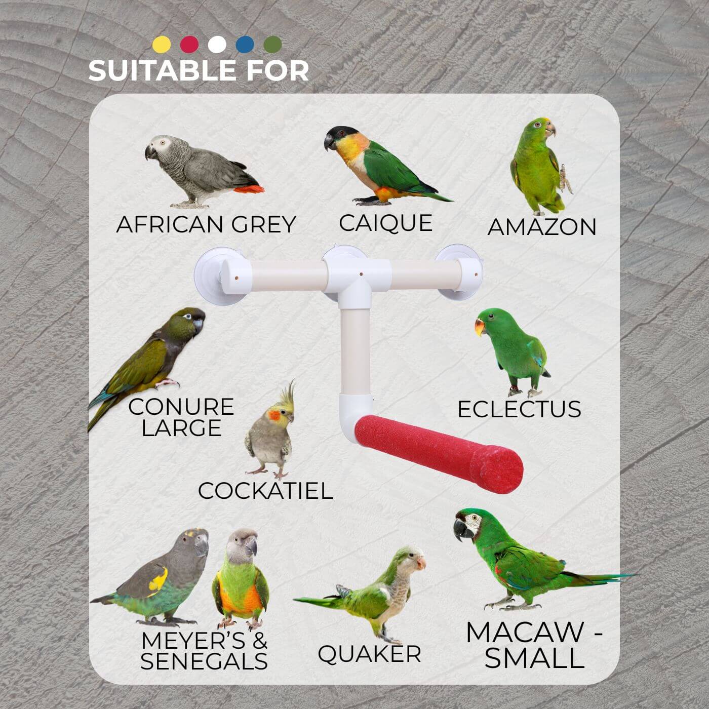 Medium Sanded Shower Perch for Parrots