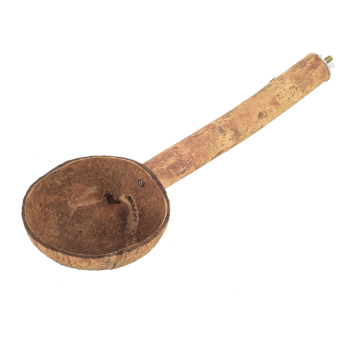 Keep Mess inside Parrot Cage Natural Parrot Perch with Coconut Feeding Cup