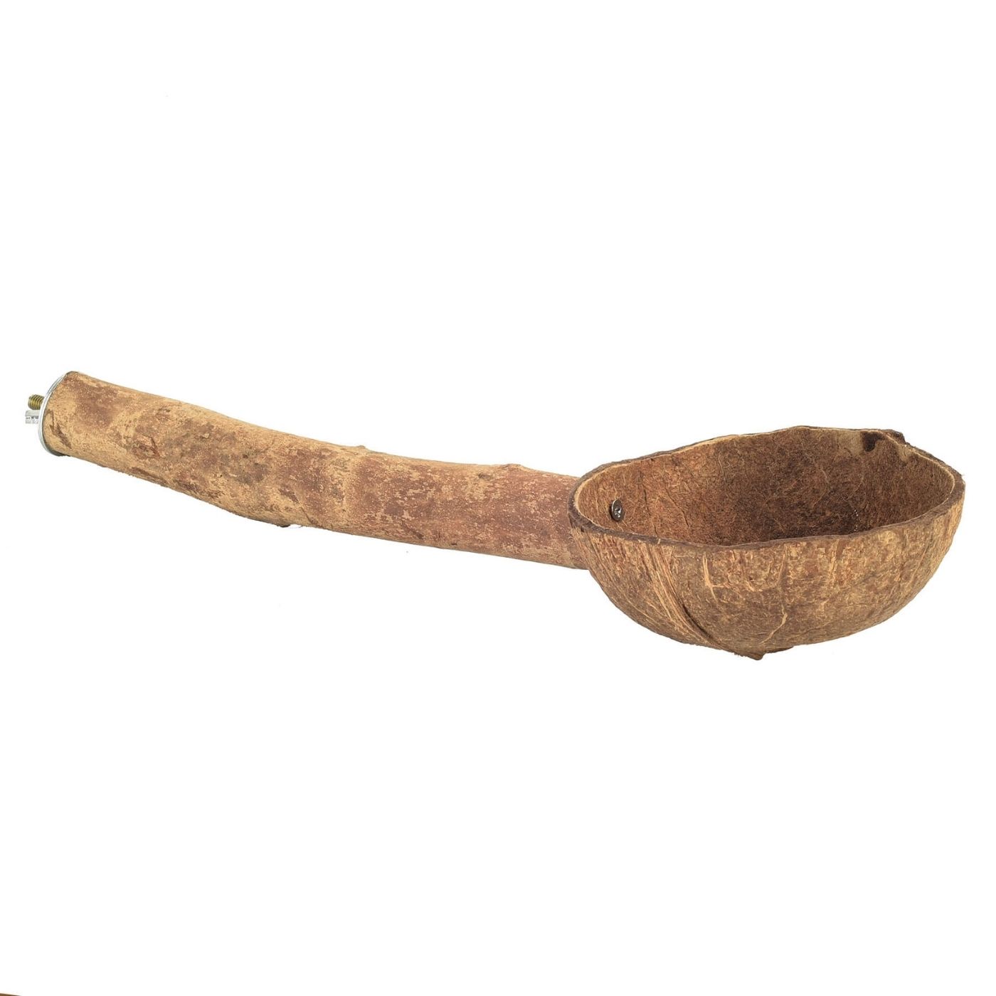 Natural Parrot Perch with Coconut Feeding Cup for African Grey, amazon, Cockatoo, Eclectus and other parrots and pets birds