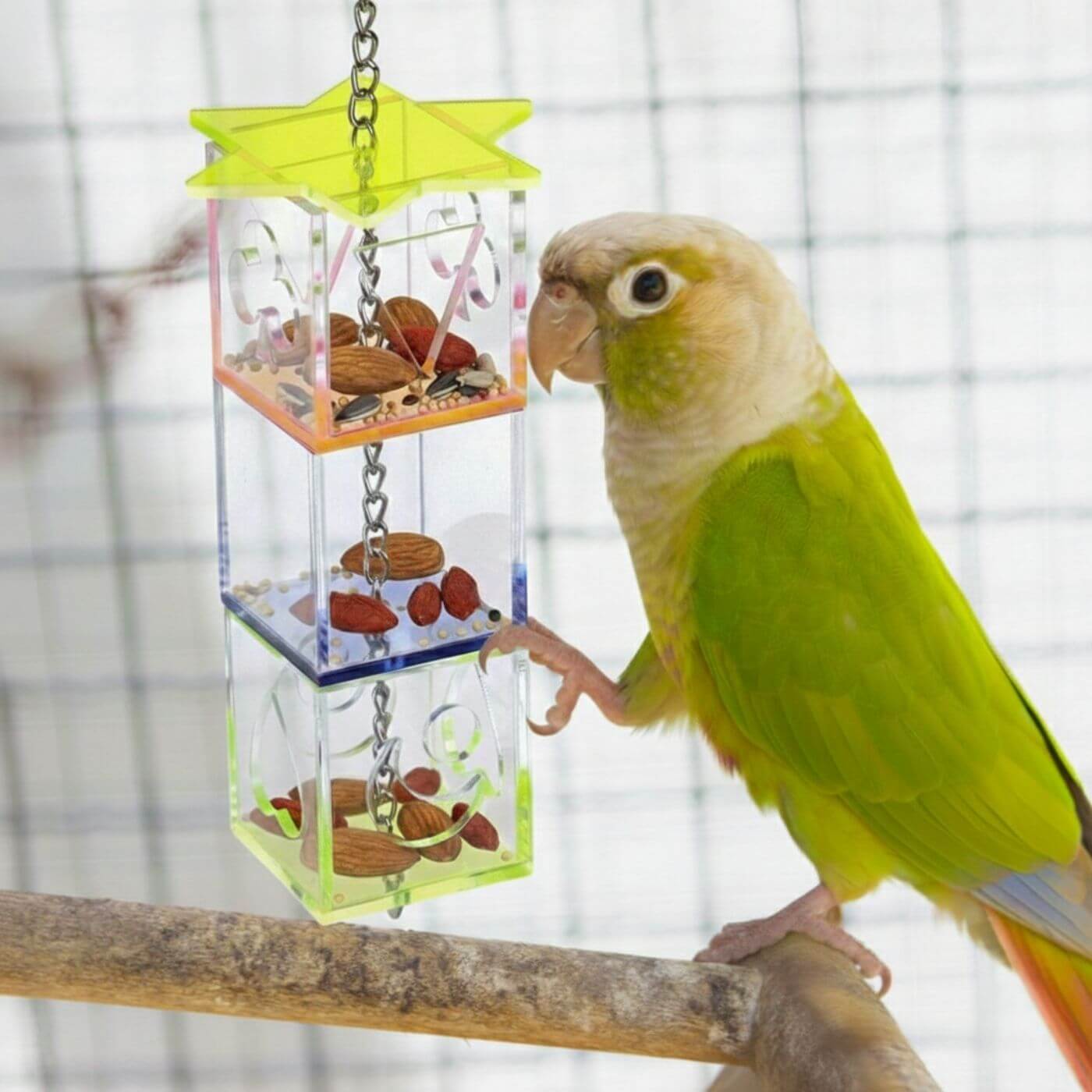 Tiered Acrylic Box Stacker Foraging Parrot Toy