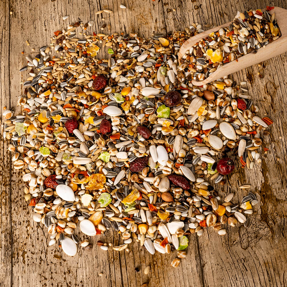 Parrot Essentials Parrot Food with Low Sunflower mix - 2Kg