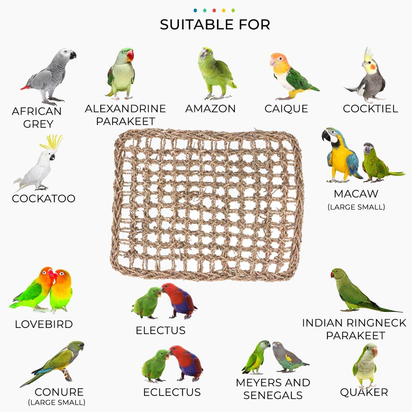 Seagrass Mat Parrot Toy Making Part Bird Suitability