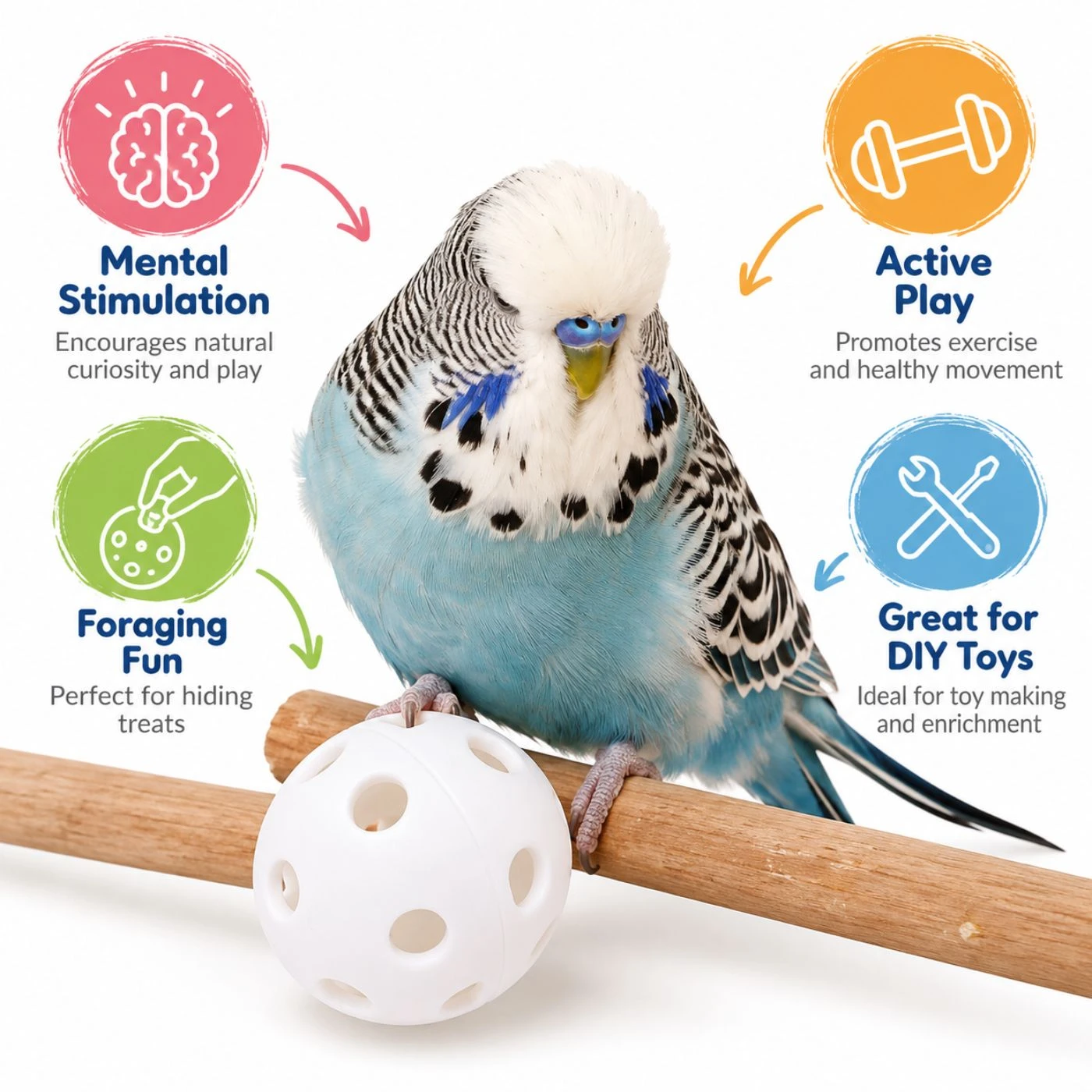 Plastic Wiffle Balls Parrot Foot & Foraging Toys - Pack of 6