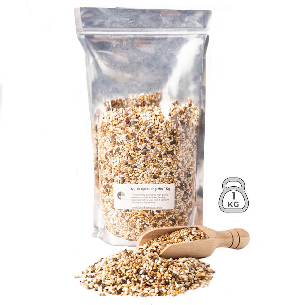 Quick Sprouting Seed Mix Parrot Food 1Kg