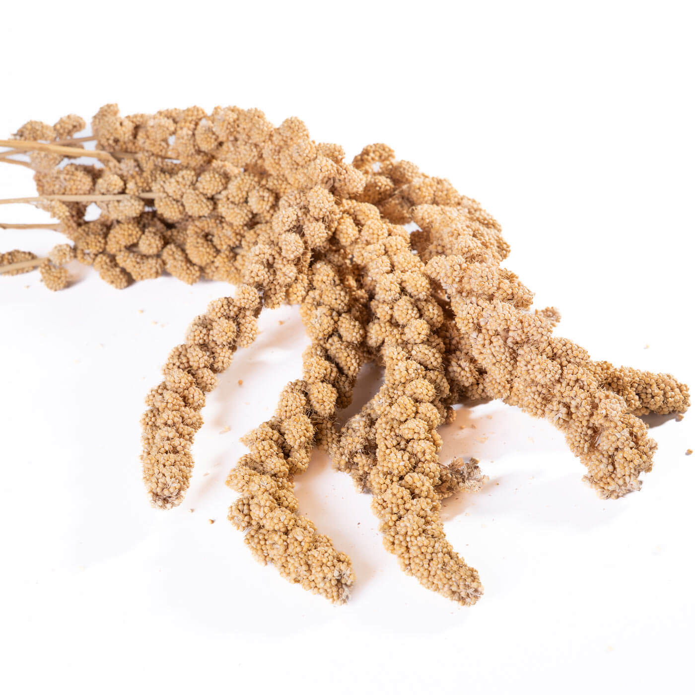 Traditional Large Millet Sprays Parrot Food & Treat - 200g