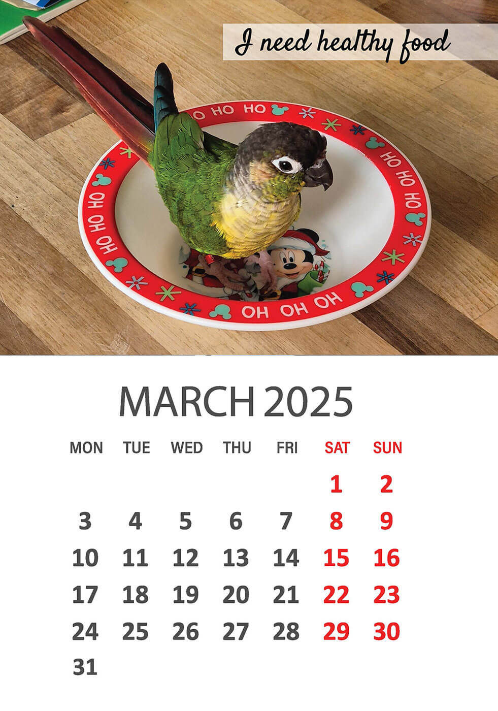 Charity Parrot Calendar 2025 in Aid of Busy Beaks Bird Rescue - March