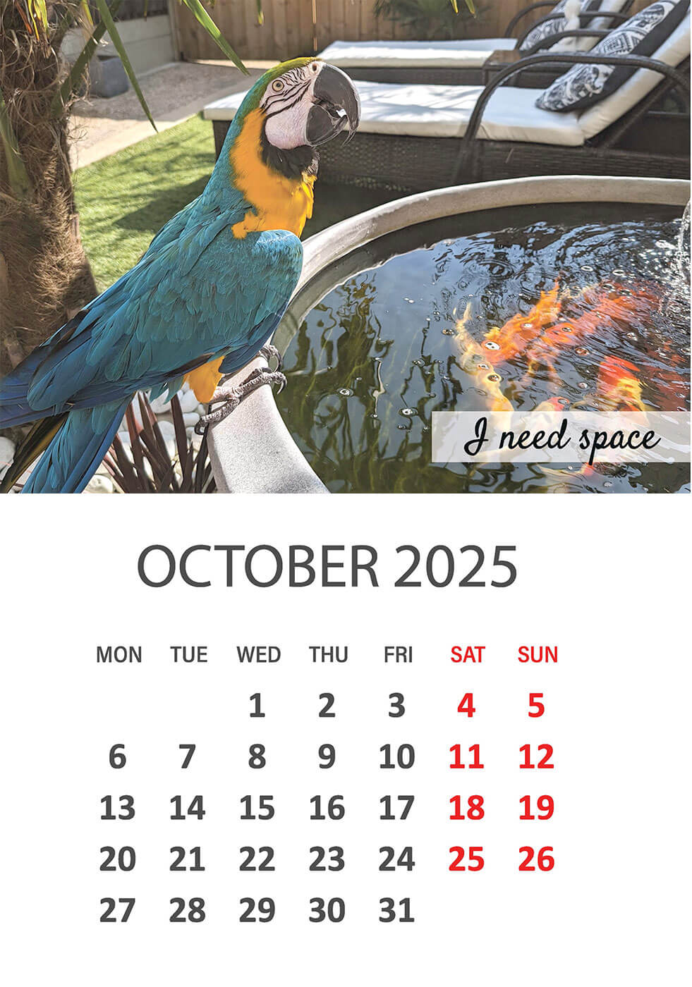 Charity Parrot Calendar 2025 in Aid of Busy Beaks Bird Rescue - October