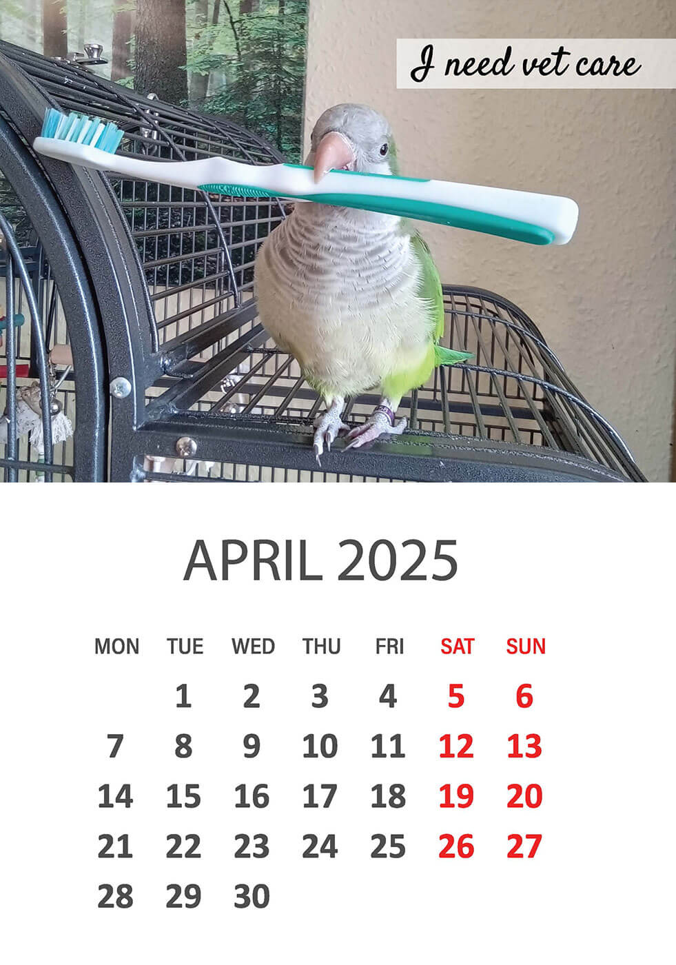 Charity Parrot Calendar 2025 in Aid of Busy Beaks Bird Rescue - April