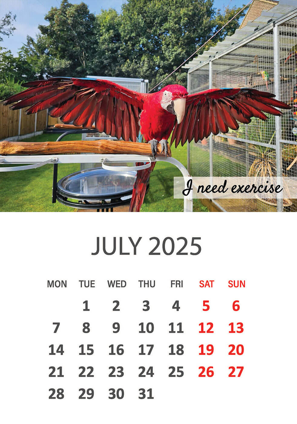 Charity Parrot Calendar 2025 in Aid of Busy Beaks Bird Rescue - July
