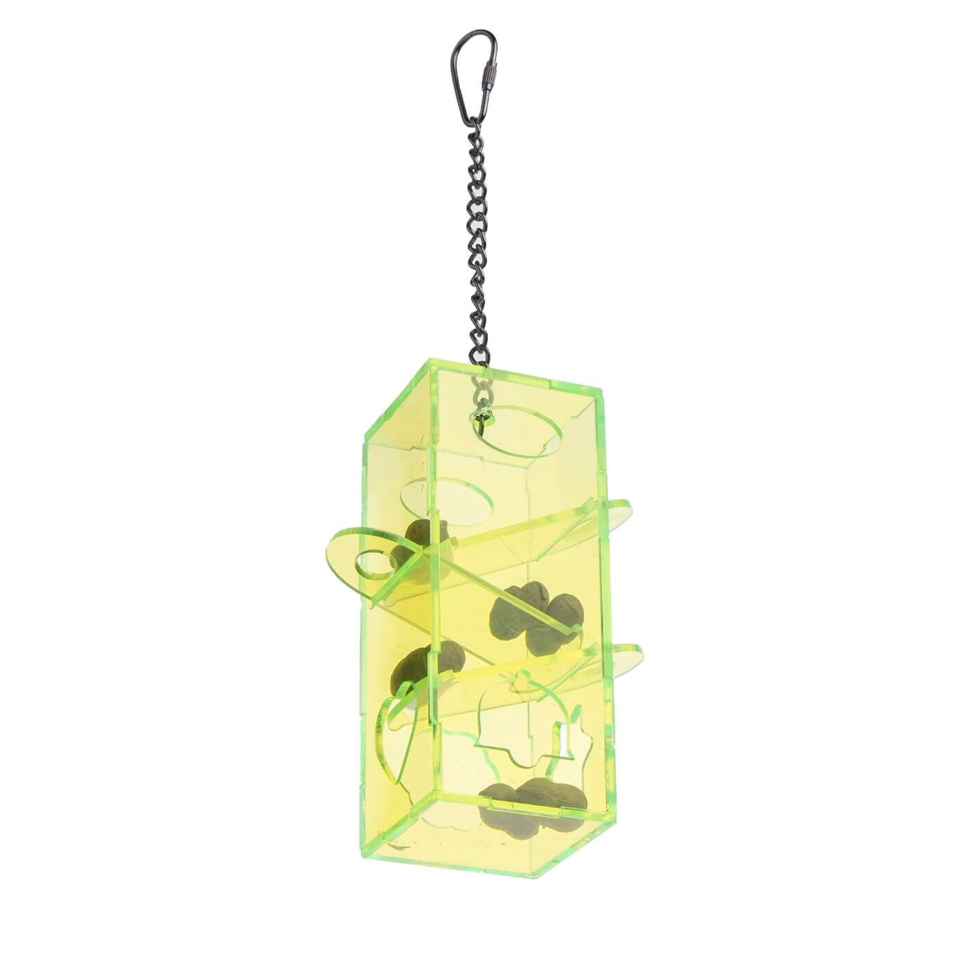 Slide 'n' Treat Colourful Activity Parrot Toy