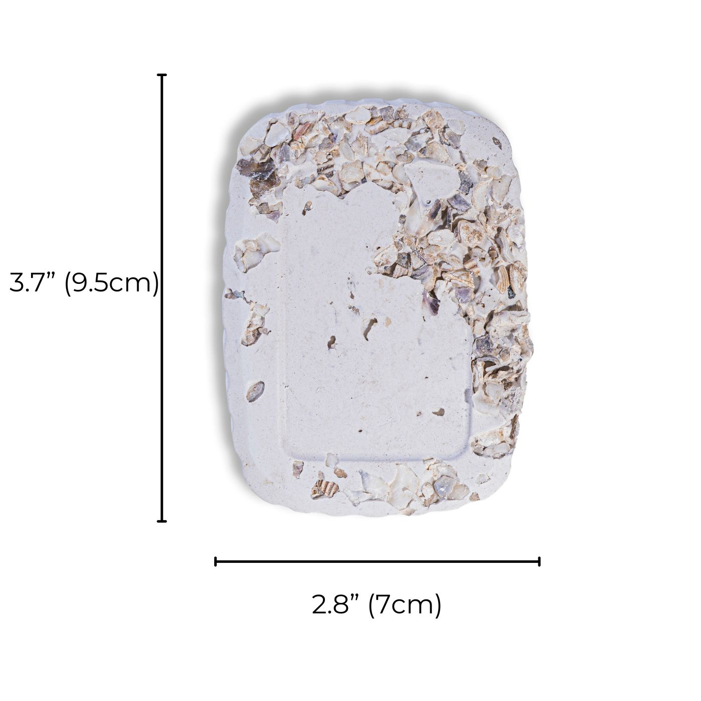 Parrot Essentials Seashell Mineral Block Size Information