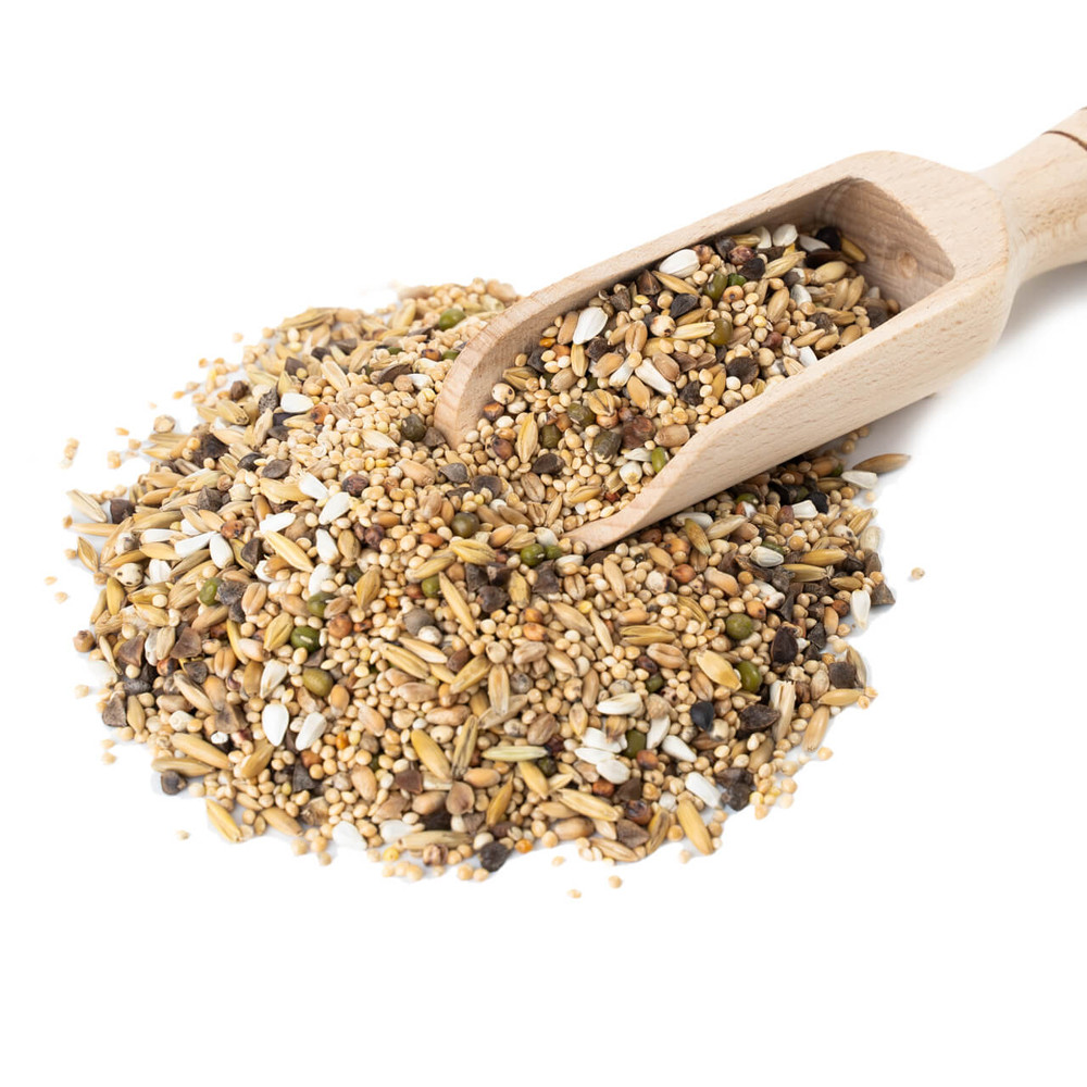 Budgie, Cockatiel & Parakeet Healthy Sprouting Seed Mix Diet for Pet Birds