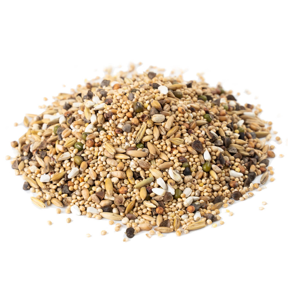 Parrot Essentials Small Parrots Food Soaking Seed Mix