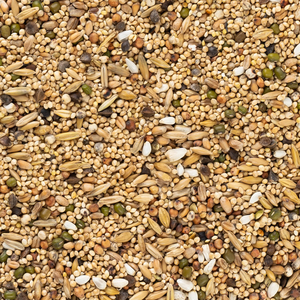 Parrot Essentials Soaking Seed Mix for Small Parrots