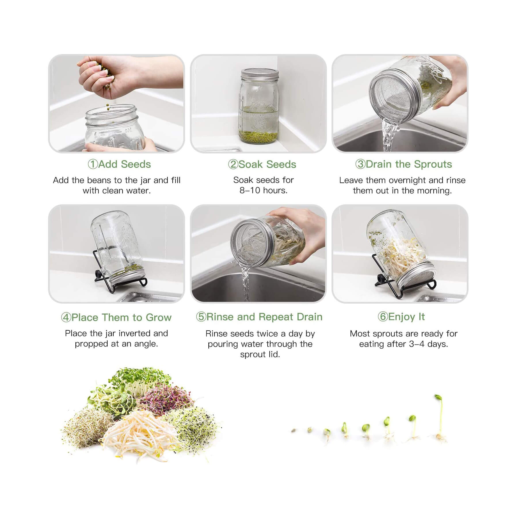 Sprouting Seeds Instructions