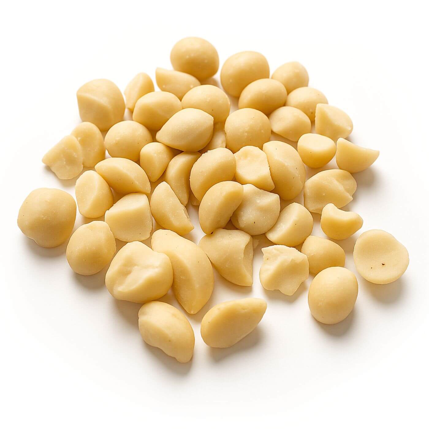 Human Grade Macadamia Nuts Parrot Treats for Training - 50g