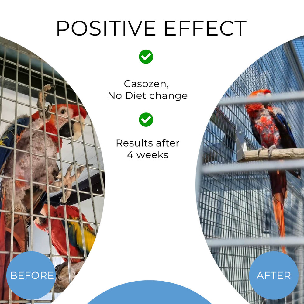 Casozen Before and After Results in a Pet Macaws Parrot