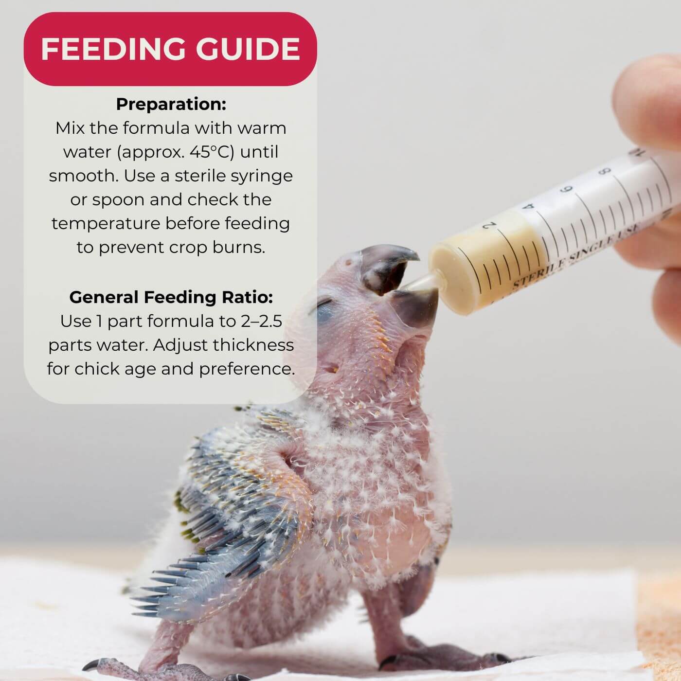Askio Nature Nest Care Bird Hand Rearing Formula Feeding Guige