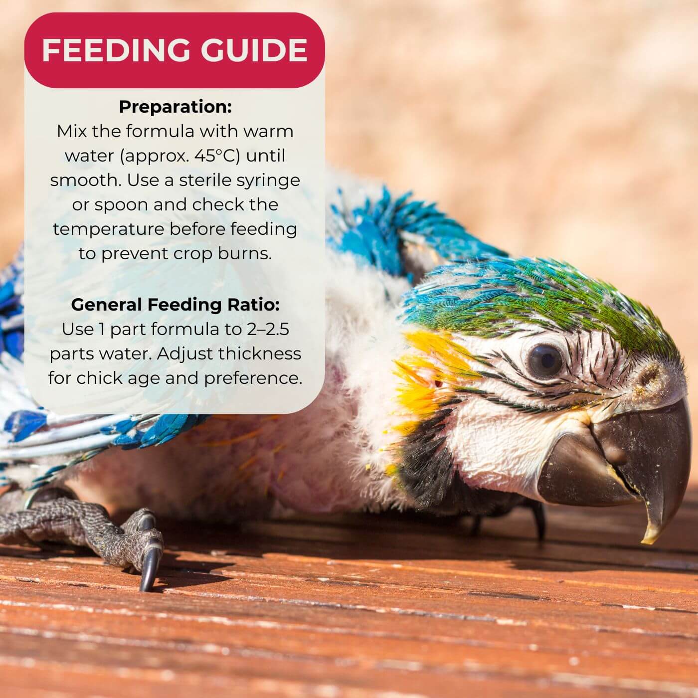 Askio Nature Nest Care Bird Hand Rearing Formula Feeding Guige