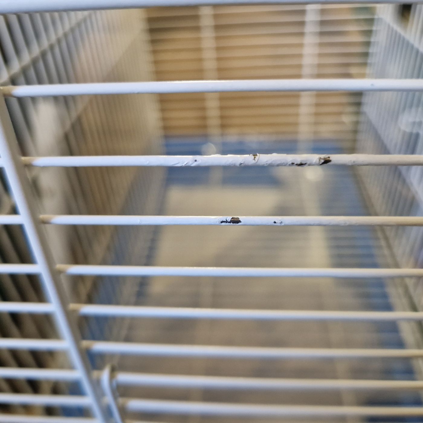 Bird Cage Ibiza Natalia 2 Blue & White Peeled Paint on Bars