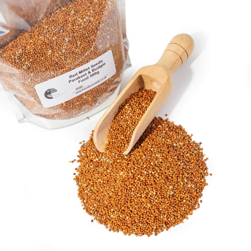 Red Millet Seeds for Small Parrots & Parakeets