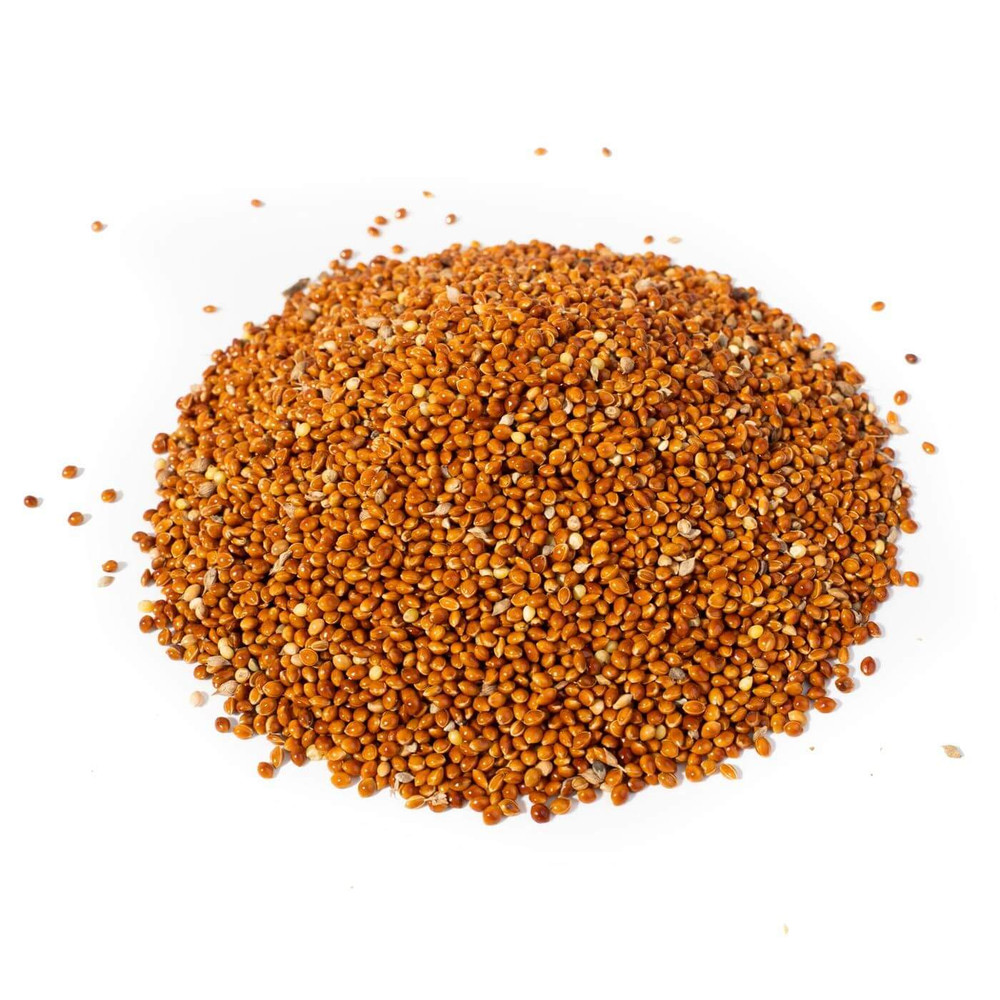 Red Millet Seeds Food for Budgies & Parakeets