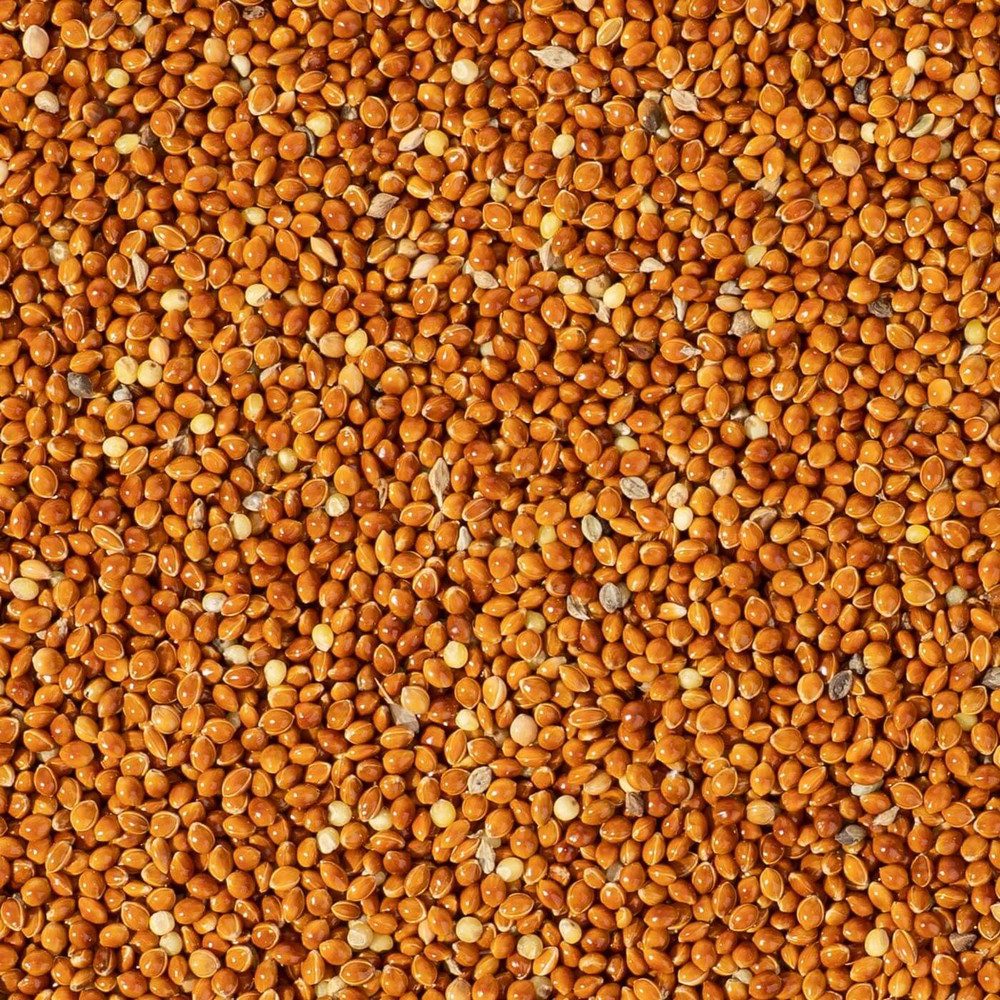 Natural Red Millet Seeds Budgie Food
