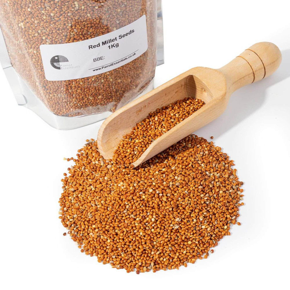 Red Millet Seeds Mix for Parakeets