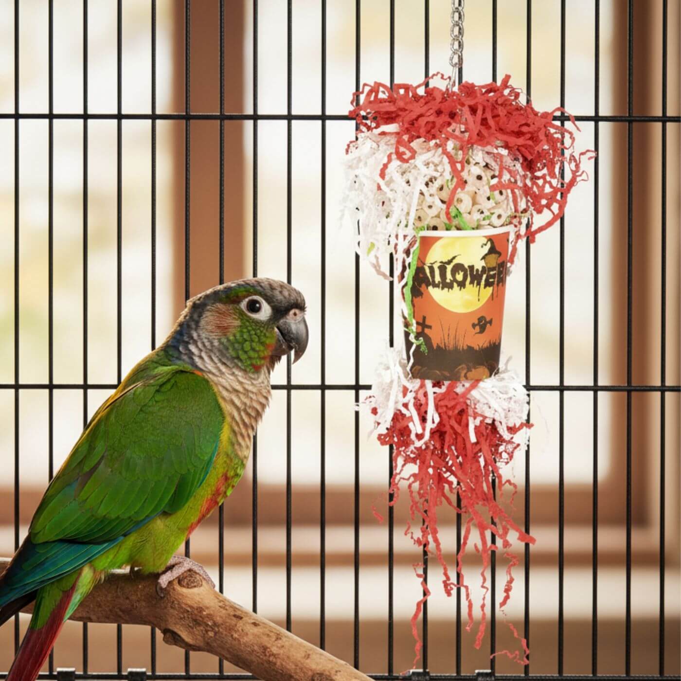 Spooky Crinkle Cup Halloween Conure Toy