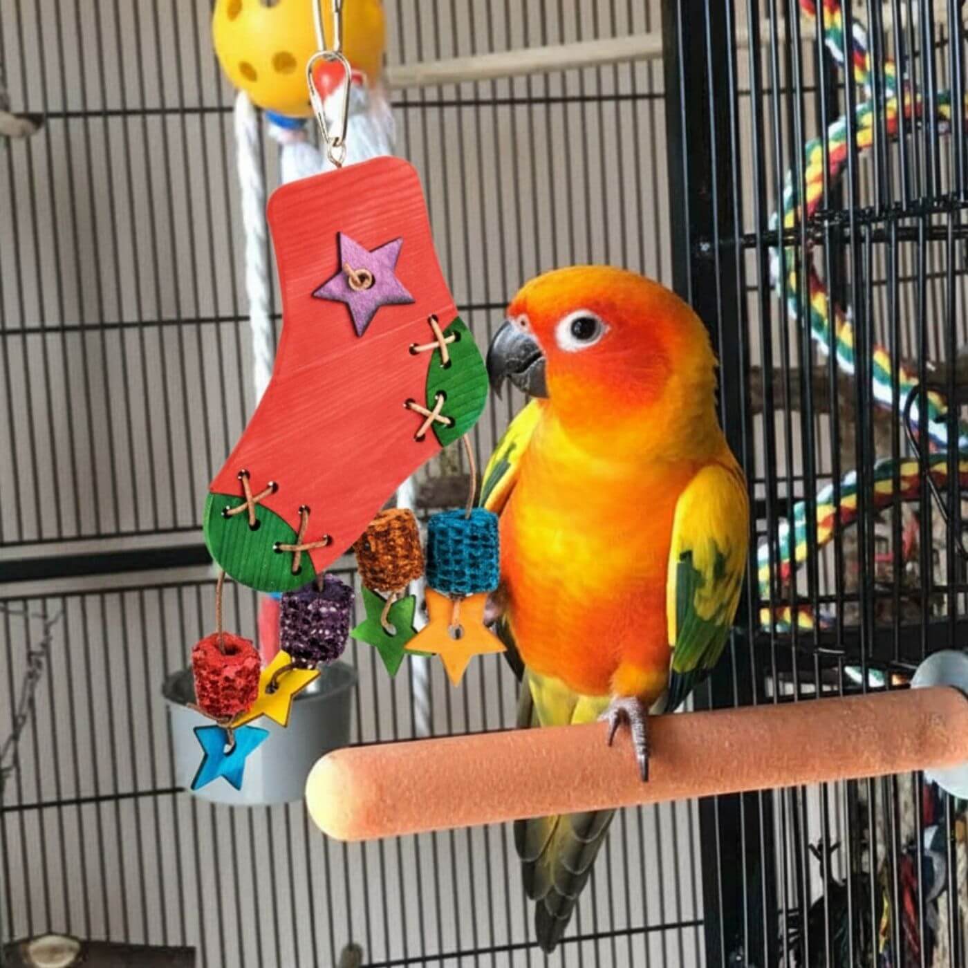 Silly Sock Star Drop Colourful Bird Toy