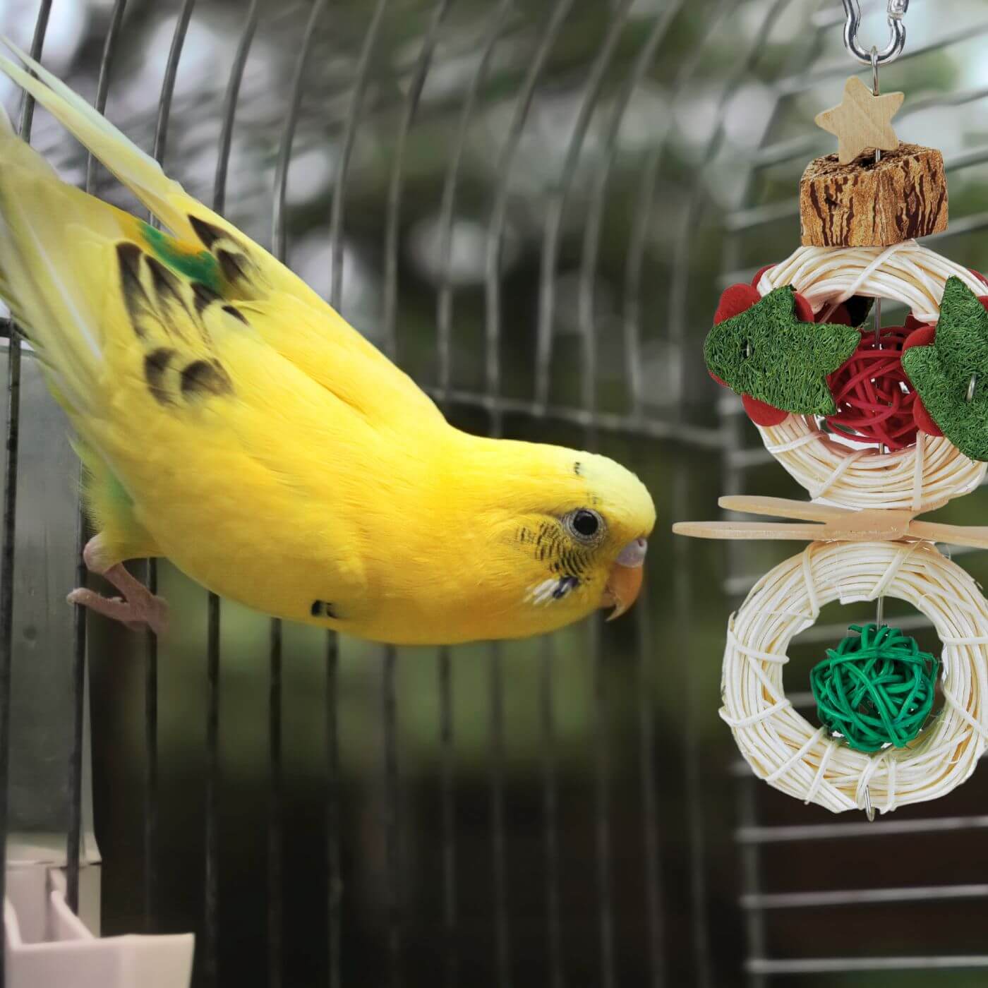 Budgie Playing with the Jolly Snowman Stack Christmas Parrot Toy