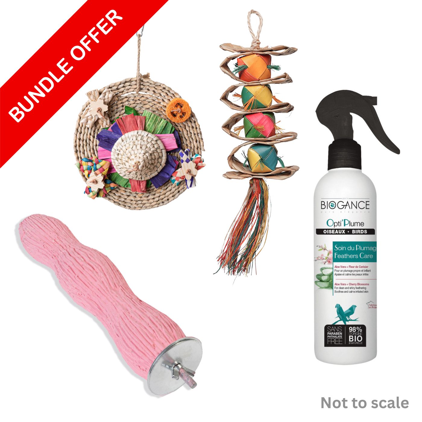 Parrot Essentials Wellness Bundle for Pet Birds - Large