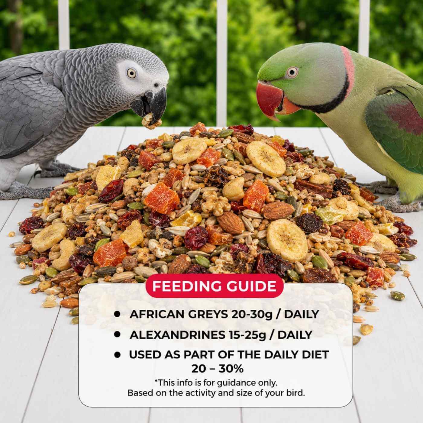 African Grey & Alexandrine Parakeet Food Mix 1.9Kg