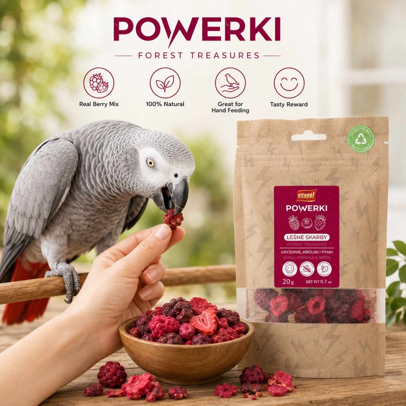 Vitapol Natural Forest Fruit Treat for Parrots - 20g