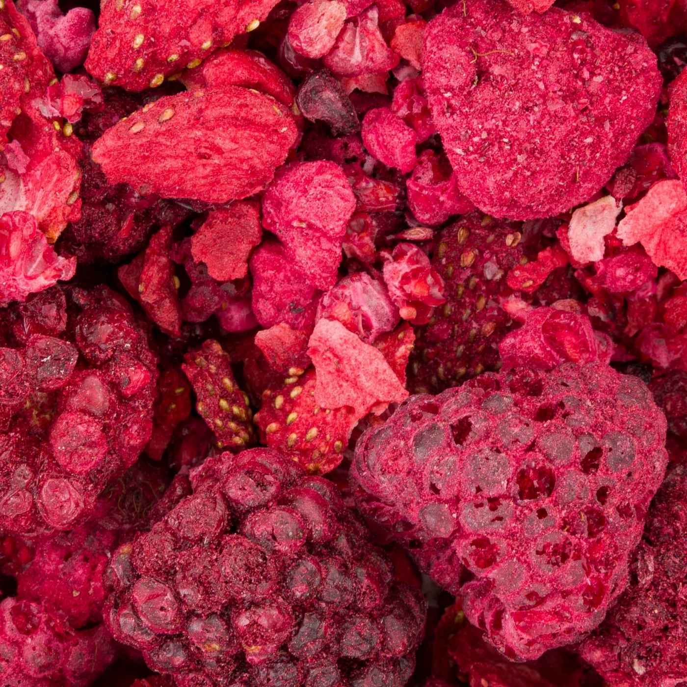 Vitapol Freeze-Dried Raspberry, Blackberry and Strawberry Parrot Treat