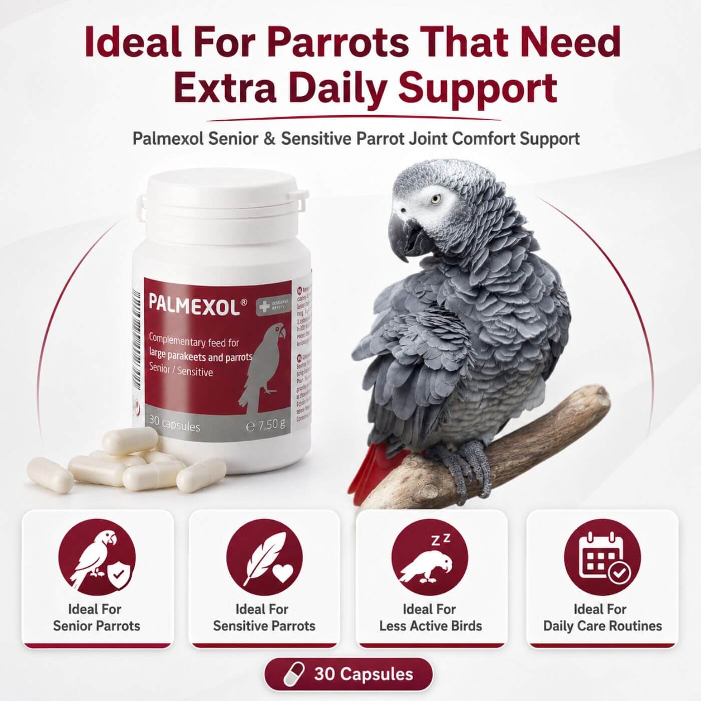 Palmexol Senior Parrot Joint Comfort & Mobility Support - 30 Capsules