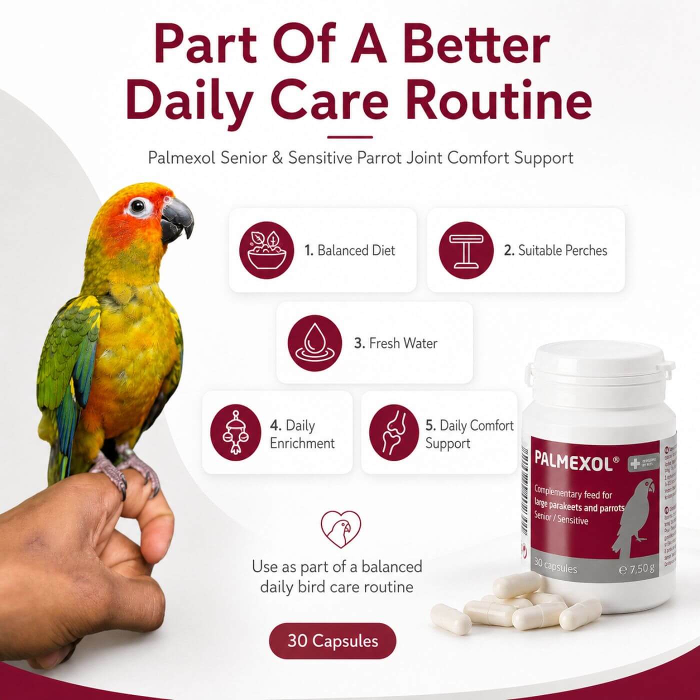 Palmexol Daily Mobility & Comfort Support For Parrots - 30 Capsules