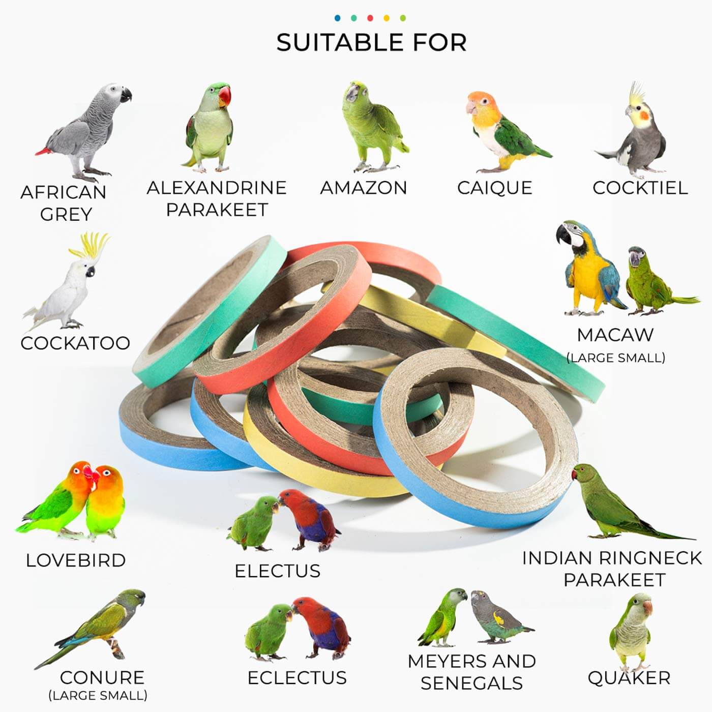 Large Birdie Bangles Foot Toys Suitable for Various Parrot Species
