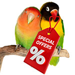 Parrot Essentials Special Offers - Parrot Food, Toys & Bird Cages Sale