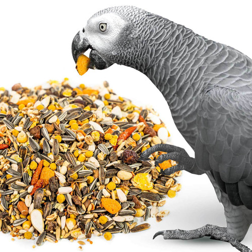 Premium African Grey Parrot Food Seed Mix for Pet Birds 2Kg